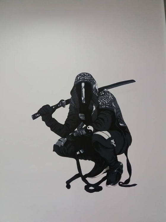 Pictura ninja