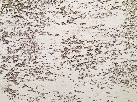 Perete textura alb